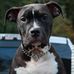 Dale Bartley - Facebook