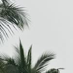 John Romeo Dale Basa - @jeydibasa - Instagram
