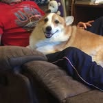 Dale Beard - @dale.beard.148 - Instagram
