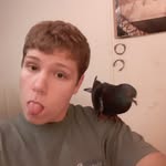 Darrin Hockett - @dale_bird - Instagram