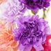 Dalene Blumenthal - Facebook