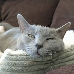 Dale Bockstoce - @dalebockstoce - Instagram