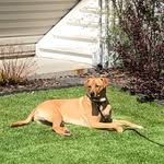 Dale Bohn - @dalebohn61 - Instagram