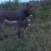 Dale Bohnert - Facebook