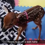 Dale Bower - @dale.bower.14224 - Instagram