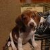 Dale Braddy - Facebook