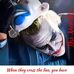 Dale Brooks - Facebook