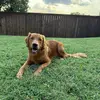 Dale Brooks - @dale.brooks64 - TikTok