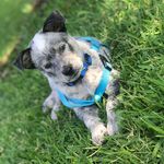 Buck Dale - @buck_dale - Instagram