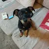 Dale Buck - @dale.buck4 - TikTok