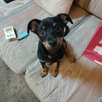 Dale Buck - Facebook