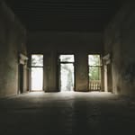 Dale Buckley - @dalebuckley13 - Instagram