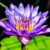 Dale Bundy - Facebook