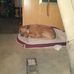 Dale Burch - Facebook