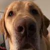 user4629012544555 - @busch_dale - TikTok
