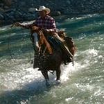 Dale Butterwick - @butterwickdale - Instagram