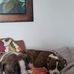 Dale Bybee - Facebook