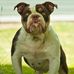 Dale Byrd - Facebook