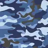 cadet dale - @dalecadet - TikTok