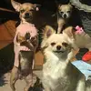 Dale Cadeau - @dale.cadeau - TikTok