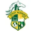Daley academy bops - @daley_academy_bops - TikTok