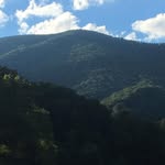 Dale Calloway - @d36mount - Instagram