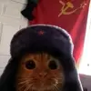 soup - @dalecannan - TikTok