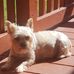 Dale Capps - Facebook