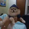 Dale Cezar - @dalecaesar - TikTok