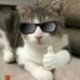 Dale Chan - Facebook