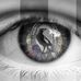 Dale Chapman - Facebook