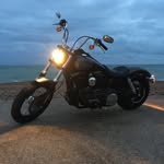 Dale Chapman - @dale2184 - Instagram