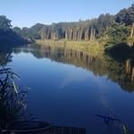 Dale Chapman - @dalechapman1678 - Instagram