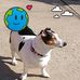 Dale Cherry - Facebook