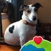 Dale Cherry - Facebook