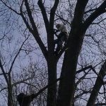 Dale Cherry - @dcherry1234598 - Instagram