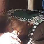 Dale Cherry - @dale.cherry.7503 - Instagram