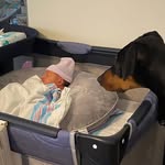 Dale Clearwater - @clearwaterdale - Instagram