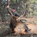Dale Cooley - Facebook
