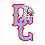DCHS Cheer - @dalecountycheer - Instagram