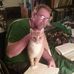 Dale Covington - Facebook