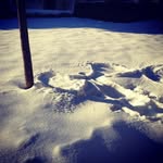 Dale Coyle - @haulamlawe - Instagram