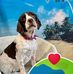 Dale Craine - Facebook
