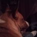 Dale Cunningham - Facebook