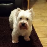 Dale Dennison - @dale.dennison - Instagram