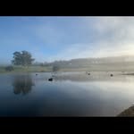 Diamond Dale Farm - @diamond_dale_farm - Instagram