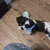 Dale Downs - @dale.downs - TikTok