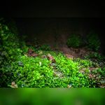 Dale - @_dale_field__krcuh - Instagram