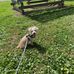 Dale Fitzpatrick - Facebook