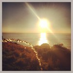 Dale Fleury - @dailyphiacyber - Instagram